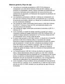 Balance general y flujo de caja