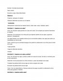 Planificaciones en el nivel inicial