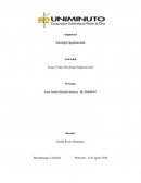 Ensayo Video Psicología Organizacional