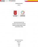 AUDITORIA FINANCIERA