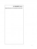 Estados financieros notas AT KEARNEY S.A.S.