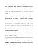 Enfoque sistematico- ensayo