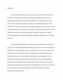 Marketing digital empresa Laser Tintas Bucaramanga