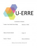 Plantilla de Diario de Reflexión