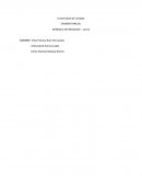 Gerencia de negocios