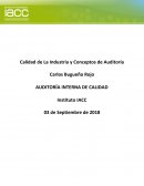 Calidad de La Industria y Conceptos de Auditoría