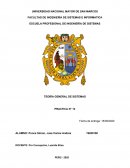 TEORÍA GENERAL DE SISTEMAS PRACTICA N° 13