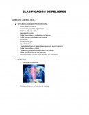 CLASIFICACIÓN DE PELIGROS AMBIENTE LABORAL REAL