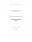 FUNDAMENTOS DE PENSAMIENTO HUMANO