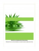 Elaboración de una crema hidratante con extracto natural de sábila