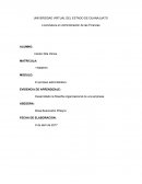 Desarrollando la filosofia organizacional de una empresa