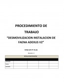Desmovilizacion instalacion de faena Adexus V2