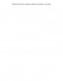 ANALISIS CONSTRACTIVOS DE ASPECTOS INTERCULTURALES COMO: EL HABLA, EL LENGUAJE, LA MUSICA Y LAS COSTUMBRES FAMILIARES ENTRE PERU Y COLOMBIA