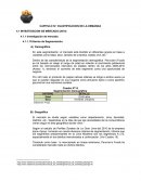 Cuantificacion Demanda