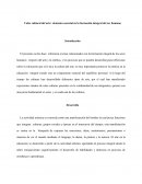 Valor cultural del arte elemento esencial en la formación integral del ser humano