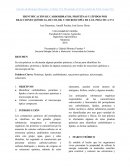IDENTIFICACIÓN DE CARBOHDRATOS, PROTEÍNAS Y LÍPIDOS POR REACCIONES QUÍMICAS, DE COLOR, Y MICROSCOPÍA DE LUZ