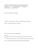 ¿Cuáles son las características de cada etapa en la germinación de una semilla?