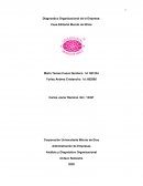 Diagnostico Organizacional de la Empresa: Casa Editorial Mundo de Niños