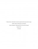 Determinar la estructura organizacional de prevención de riesgos