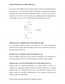 INVESTIGACION PREVIA 123 GRUPO CHIDO