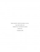 Diseño, desarrollo y control de los productos y servicios