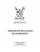 Importancia del proceso de socialización
