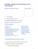 Modelo basico informe de inspección