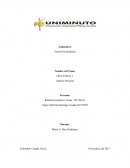 Teoría Psicoanalítica