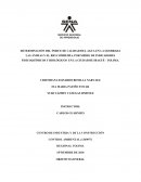 DETERMINACIÓN DEL ÍNDICE DE CALIDAD DEL AGUA EN LA QUEBRADA LAS ÁNIMAS Y EL RIO COMBEIMA