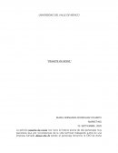 PASANTE DE MODA MARKETING