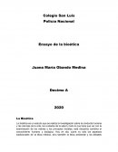 Ensayo de la bioética