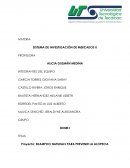 SISTEMA DE INVESTIGACIÓN DE MERCADOS . Proyecto: SHAMPOO NATURALS PARA PREVENIR LA ALOPECIA