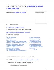 Modelo basico informe de inspección. Página 1