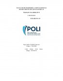 ÁREAS Y LONGITUDES MEDIANTE EL CÁLCULO INTEGRAL