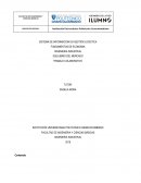 SISTEMA DE INFORMACION EN GESTIÓN LOGISTICA