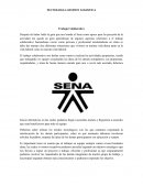 Sena Trabajo Colaborativo