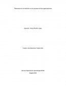 Relevancia de la medición en los procesos de las organizaciones