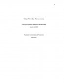Programa Finanzas y Negocios Internacionales
