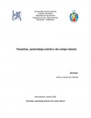 Pasantías, aprendizaje práctico del campo laboral