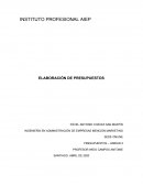 ELABORACIÓN DE PRESUPUESTOS