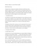 Rebeliones indígenas en contra del dominio español
