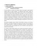 PROYECTO AMBIENTAL. DISEÑO AMBIENTAL