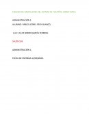 Trabajo en equipo y proceso administrativo-Organización