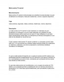 Malla sombra raschel