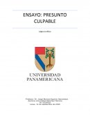 ENSAYO: PRESUNTO CULPABLE Lógica Jurídica