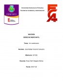 Introduccion al deremcho mercantil