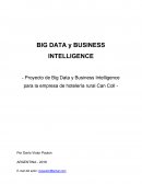 BIG DATA Y BUSINESS INTELLIGENCE