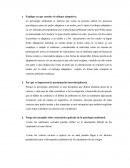 Explique en que consiste el enfoque adaptativo