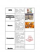 Buenas Prácticas de Manufactura es realizar los procesos con limpieza orden y eficiencia