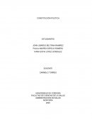 CONSTITUCION POLITICA DE 1991 ARTICULO EN INGLES